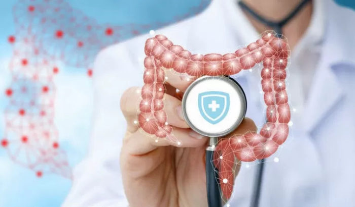Il Microbiota: che cos'è?
